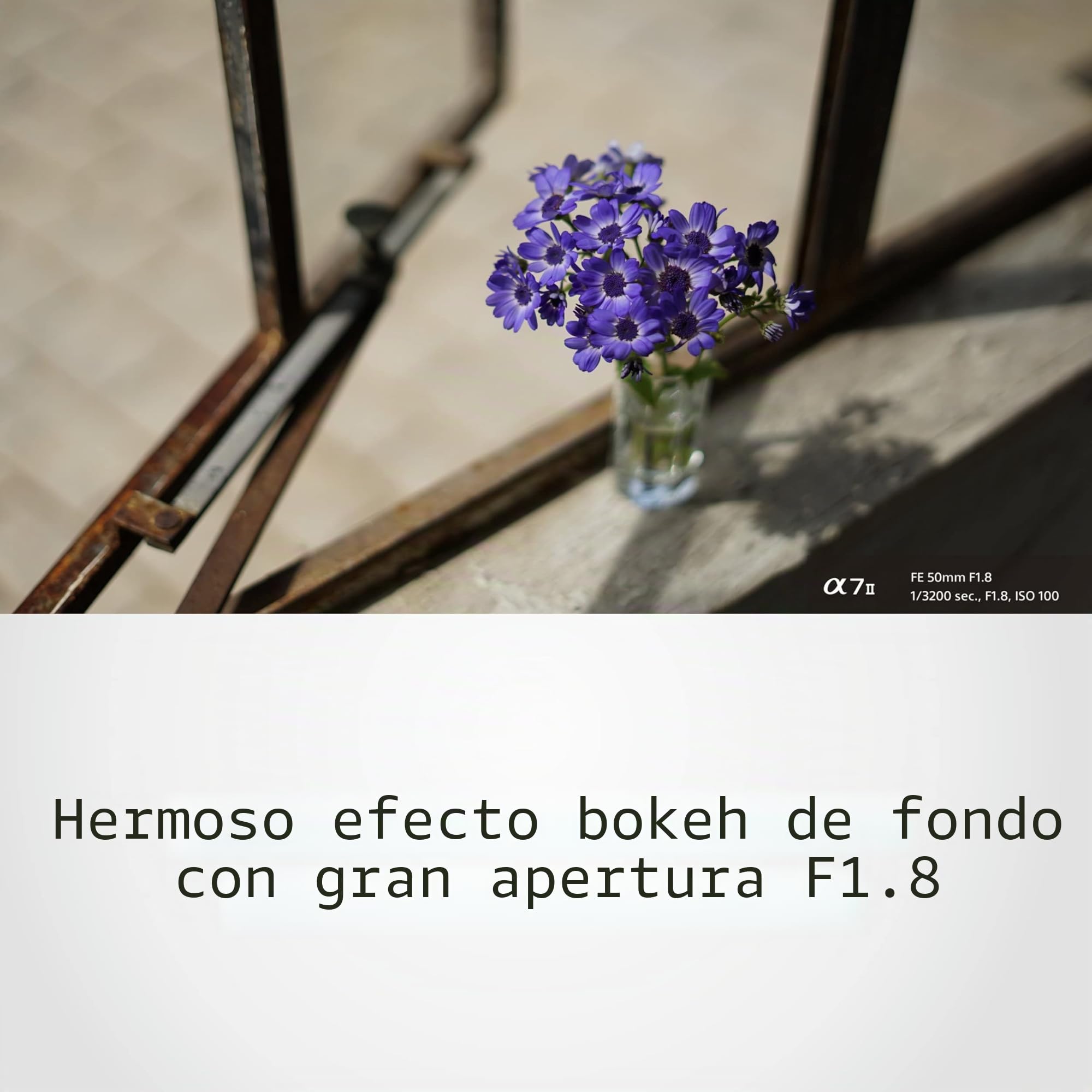 sony-sel50f18f-50mm-f-1-8-lente-prime-para-montura-e-full-frame-y-aps-c-autoenfo image 5
