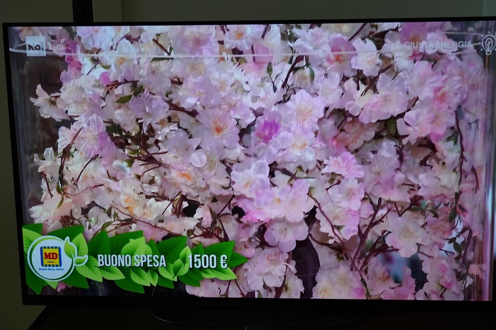 ¡Precio increíble!