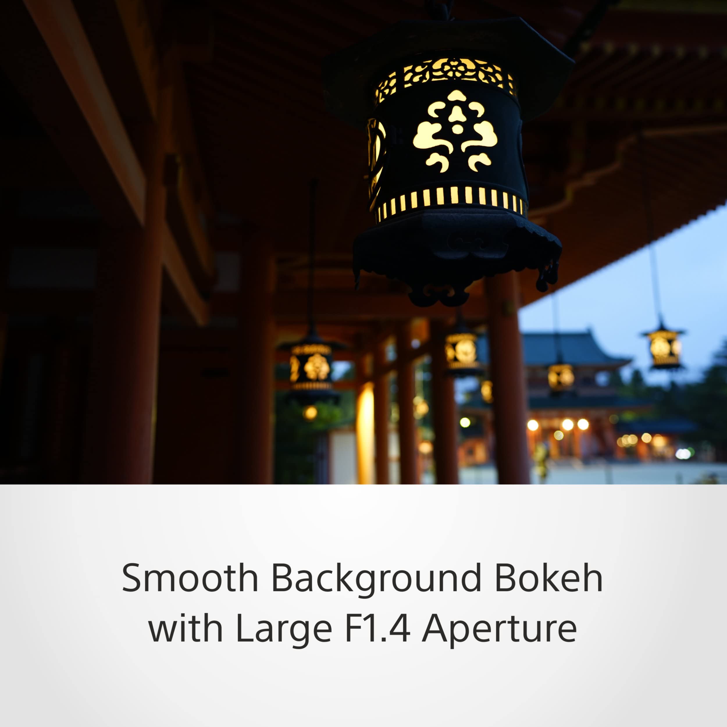 sony-distagon-t-fe-35mm-f-1-4-zeiss-objetivo-prime-full-frame-sel35f14z image 7
