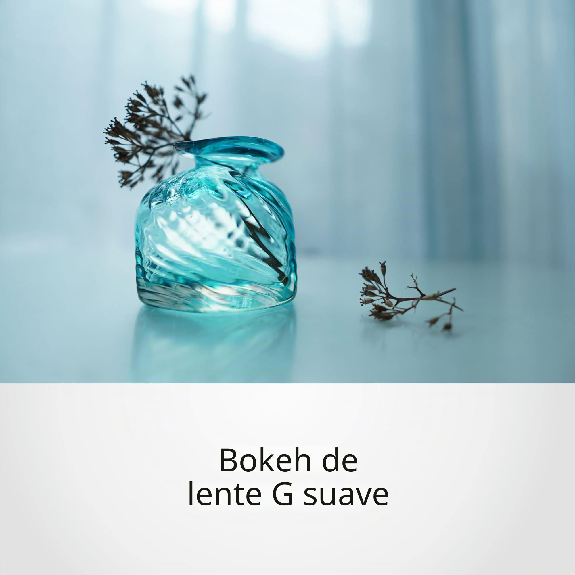 objetivo-sony-15mm-f1-4-g-gran-angular-aps-c-sel15f14g image 5