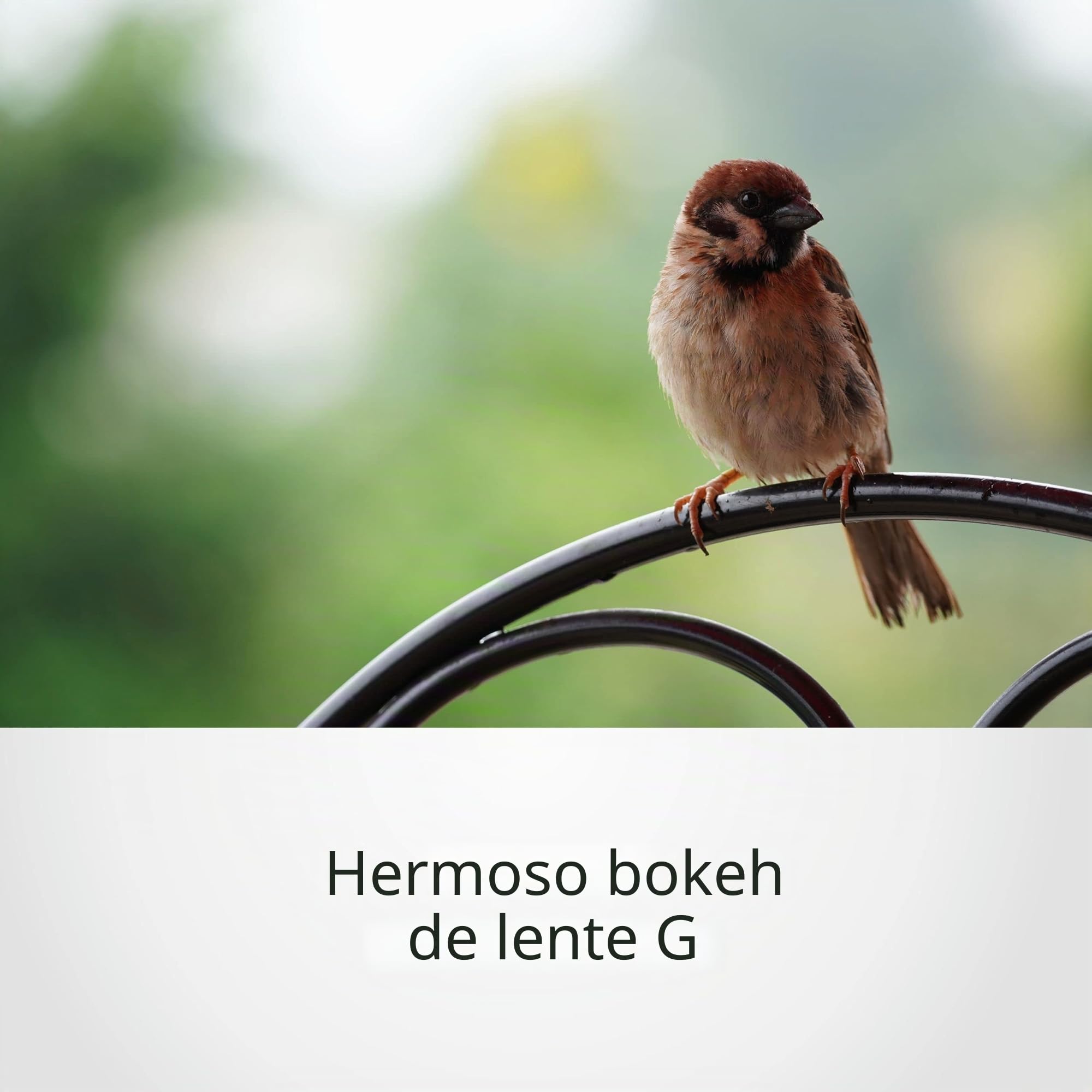 sony-sel70350g-objetivo-70-350mm-f-4-5-6-3-g-oss-para-aps-c-montura-e-para-natur image 3