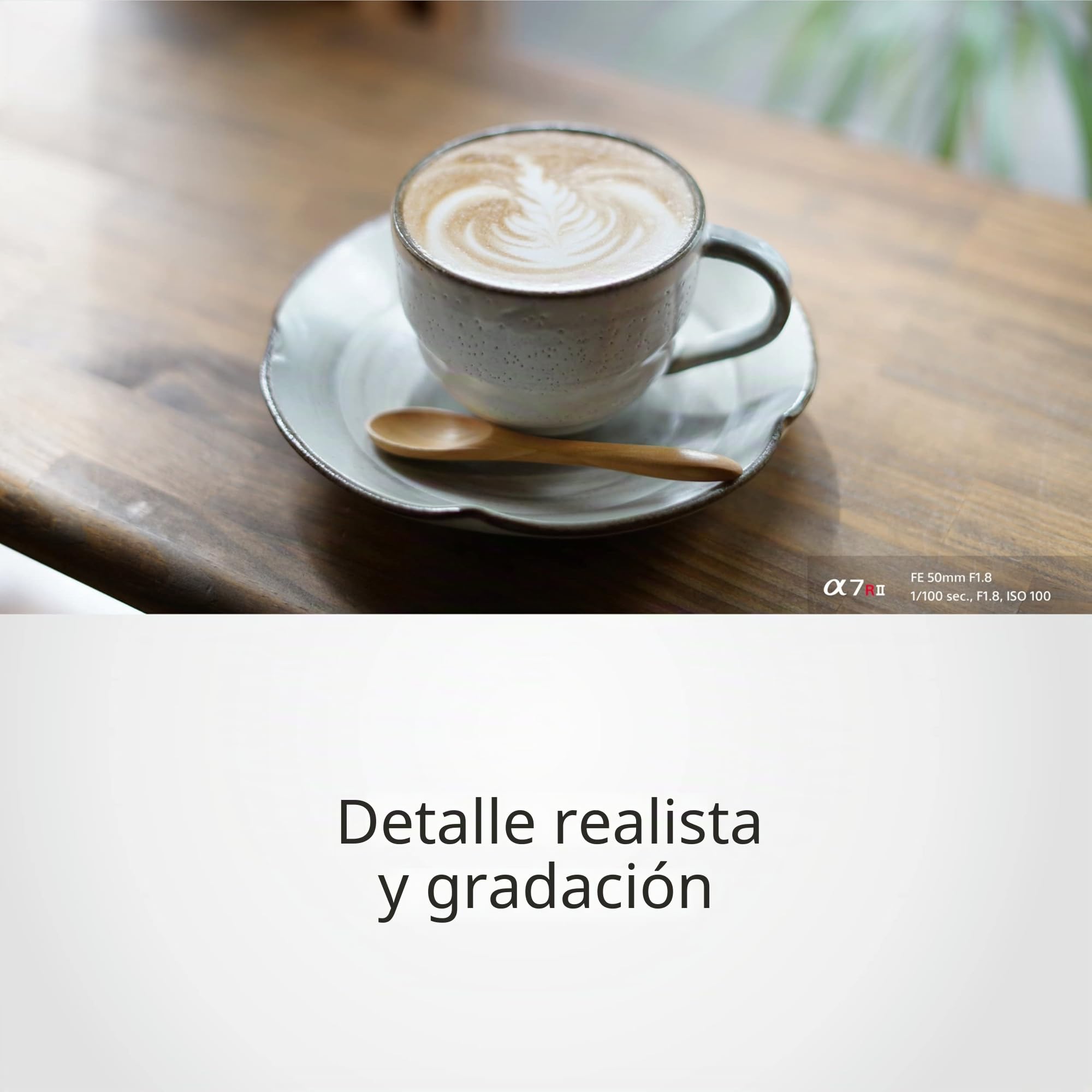 sony-sel50f18f-50mm-f-1-8-lente-prime-para-montura-e-full-frame-y-aps-c-autoenfo image 4