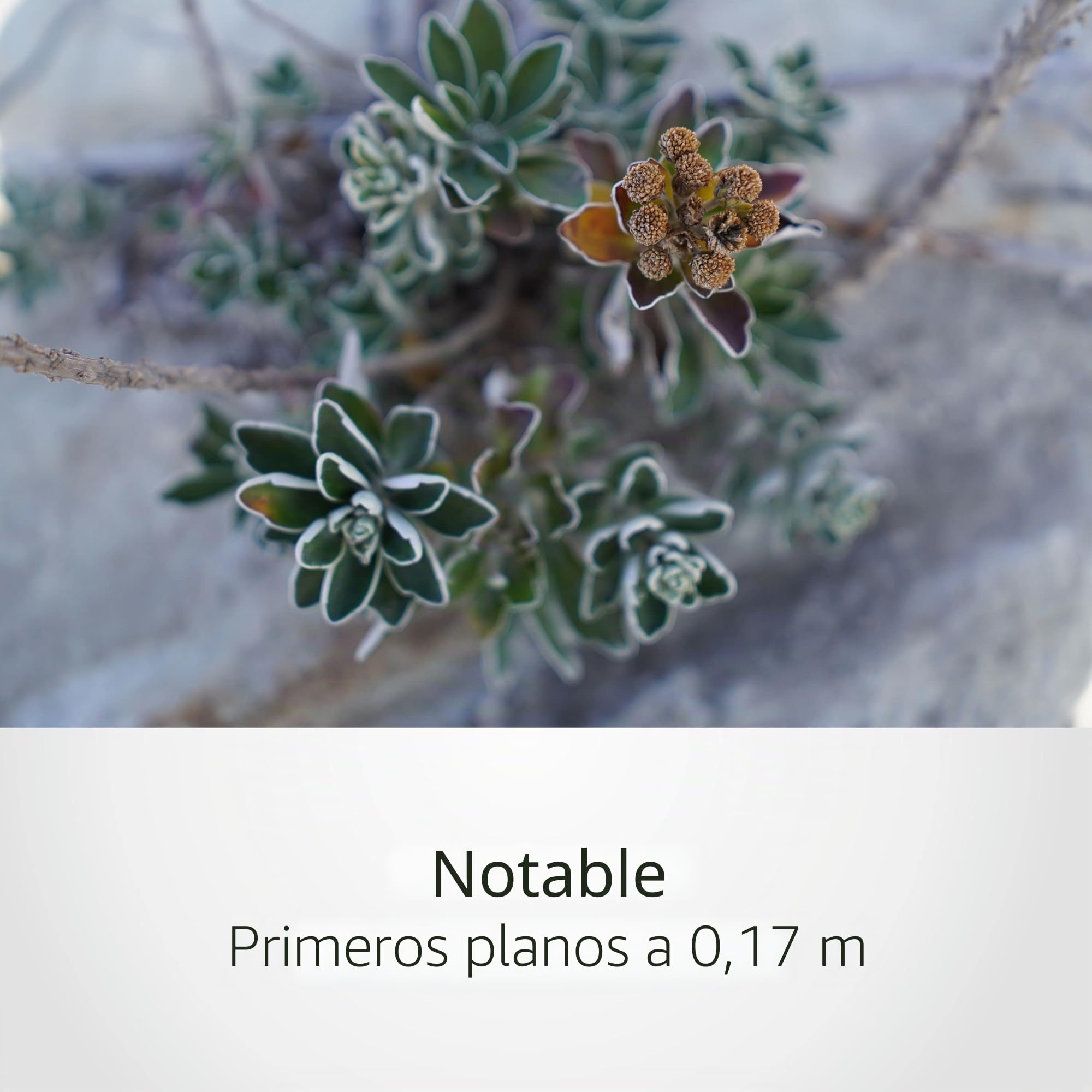 objetivo-sony-15mm-f1-4-g-gran-angular-aps-c-sel15f14g image 6