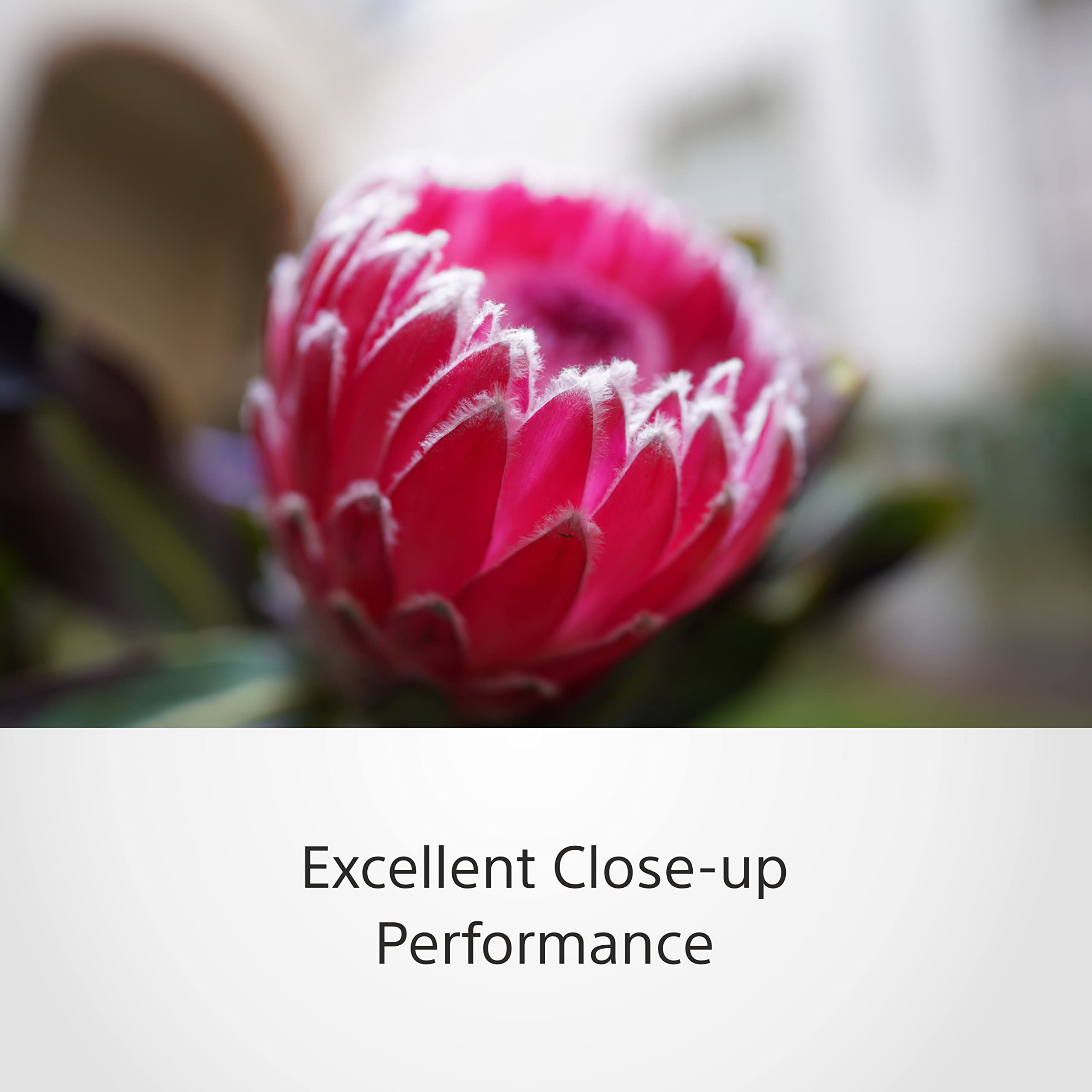 sony-sel20f18g-objetivo-gran-angular-de-20-mm-f-1-8-g-para-montura-e-full-frame- image 7