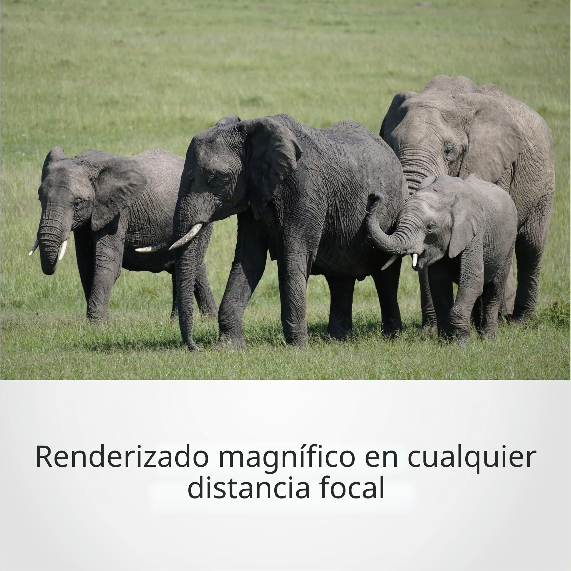 sony-sel70350g-objetivo-70-350mm-f-4-5-6-3-g-oss-para-aps-c-montura-e-para-natur image 5