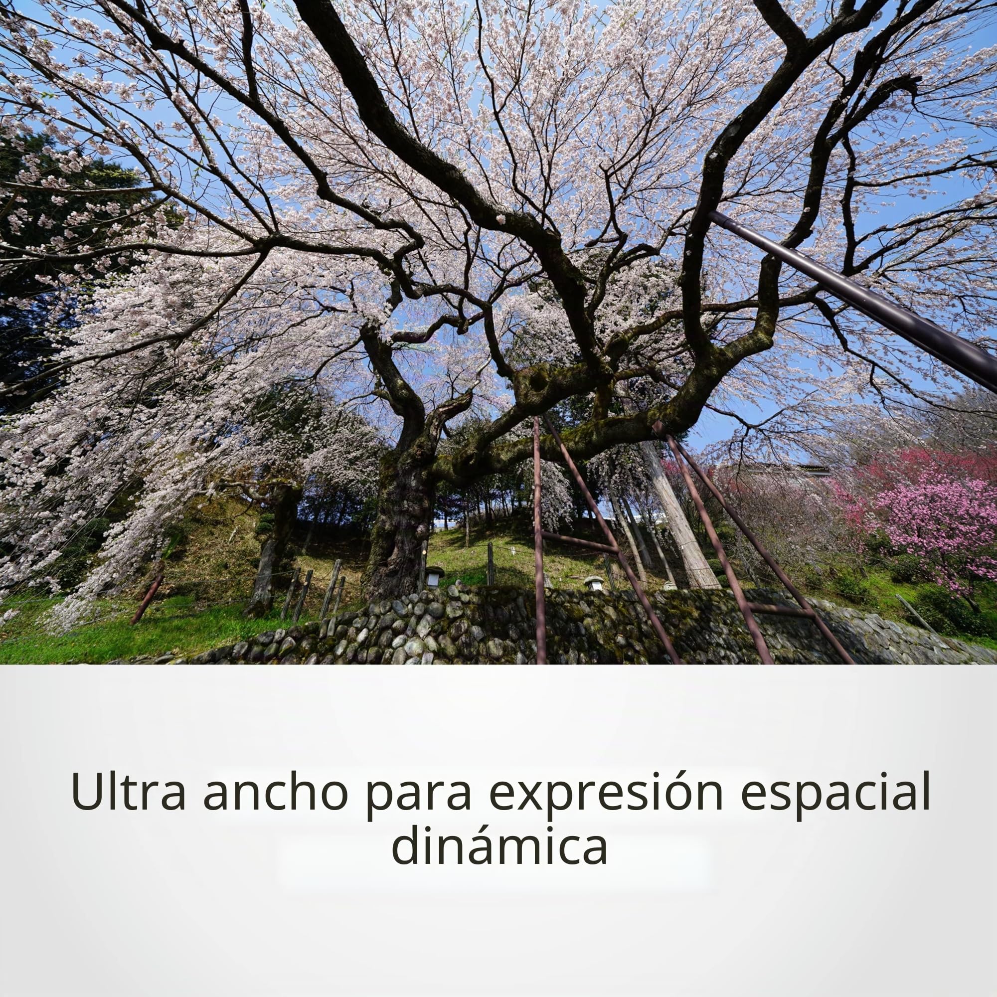 sony-sel1224g-objetivo-gran-angular-12-24mm-f4-para-montura-e image 3